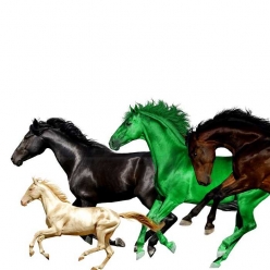 Lil Nas X & Billy Ray Cyrus Ft. Young Thug & Mason Ramsey - Old Town Road (Remix)